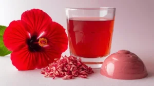 hibisco infusion y gelatina